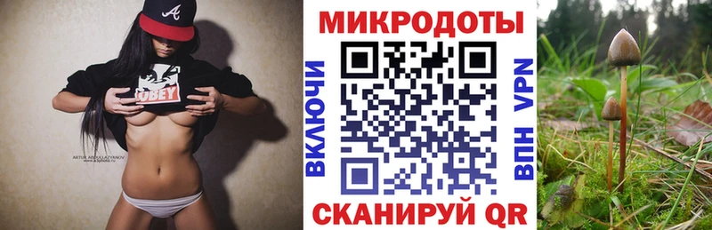 Галлюциногенные грибы MAGIC MUSHROOMS Дмитровск