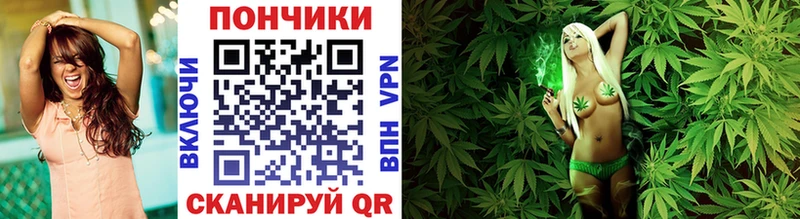 Шишки марихуана THC 21% Дмитровск