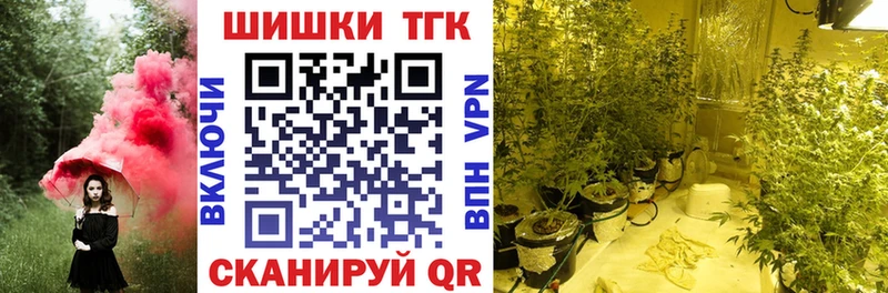 где найти Дмитровск Каннабис планчик